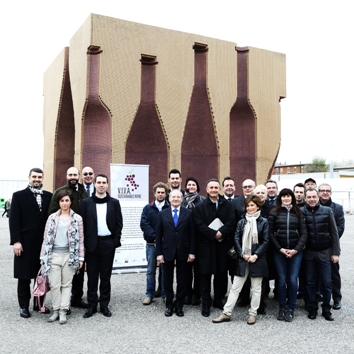 VIVA Sustainable Wine project (Italia)